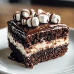 Mississippi Mud Cake